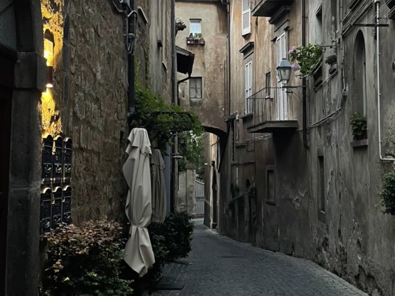 Photo of a narrow cobbled walkway between residences in Italy