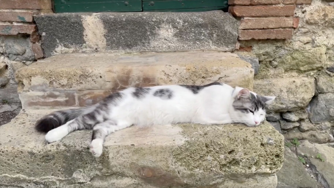 Cat asleep on an Italian doorstep